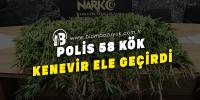 POLİS 58 KÖK  KENEVİR ELE GEÇİRDİ