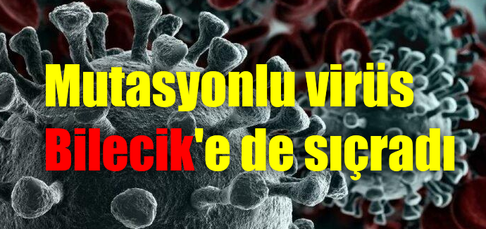 Mutasyonlu virüs Bilecik'e de sıçradı